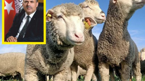 Başkan Cankuldan 2025’e Özel Yeni Müjde