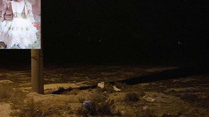 Sokak Köpekleri Saldırısında 2 Yaşındaki Çocuk Hayatını Kaybetti