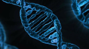 Gizli Genetik Deneyler ve İnsan DNA’sı