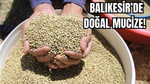 Sağlığınız İçin Doğal Mucize Balıkesir'de