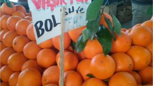 Balıkesir'de Mart Ayı Meyveleri