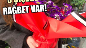 Balıkesir’de Nisan Ayında Tercih Edilen O Çiçek!