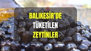 Balıkesir'de En Çok Hangi Zeytin Tercih Ediliyor?