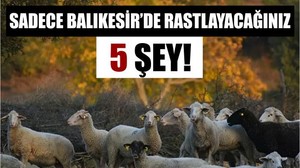 Sadece Balıkesir’de Bulabileceğiniz 5 Eşsiz Şey