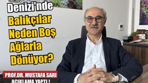 Marmara'da Balıkçılık Sezonu Felakete Dönüştü