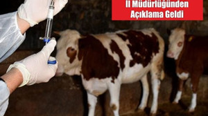 Balıkesir’de Şap Alarmında Son Durum!
