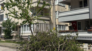 Yazın Gelişiyle Balıkesir’de Ağaçlar Budanıyor