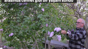 Balkan göçmenleri 500 konutu yeşile dönüştürdü