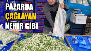 Çağla Pazarda Çağlayan nehir gibi