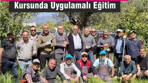 Edremit’teki Zeytin Budamacılığı Kursunda Uygulamalı Eğitimler Verildi