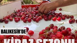 Balıkesir'de Kiraz Mevsimi Kapıda!