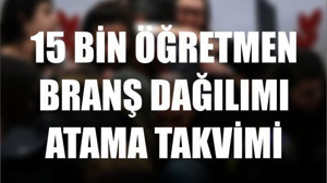 2025 Öğretmen Atama Kadro Branş Dağılımı Açıklandı!