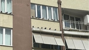 Balıkesir'in Pencere Nöbetçileri