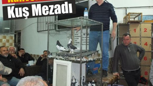 Satış Yok, Takas Var! Burhaniye’de Kuş Mezadı