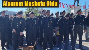 Sevimli Kedi, Tören Alanının Maskotu Oldu