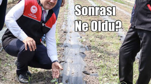 Balıkesir’de Zirai Don Sonrası İlk Değerlendirme