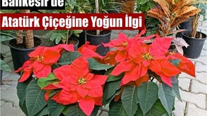 Balıkesir'de Adını Ata’dan Alan Çiçek Gözde