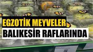 Balıkesirliler Farklı Meyve Arayışında