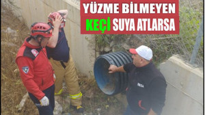 Susurluk'ta Kanala Düşen Keçi İtfaiye Tarafından Kurtarıldı