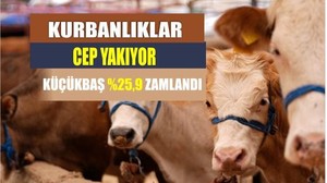 Kurbanlık Tahmini 3 Milyon 350 Bine Ulaştı
