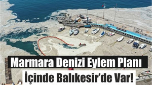 Marmara Denizi Eylem Planı: Balıkesir’de Var!