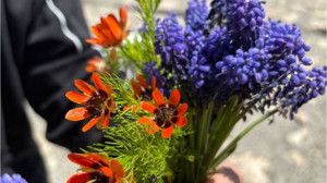 Doğal Yumurta boyasının sırrı