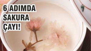 Sakura Çiçeklerinden Çay Nasıl Yapılır?