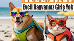 Marmara Adası’na Evcil Hayvanla Gidecekler Dikkat!