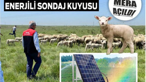 Balıkesir'de Unutulmuş Meralar Geri Dönüyor