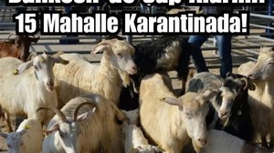 Balıkesir'de 15 Mahalle Karantinaya Alındı