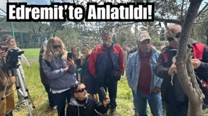 Edremit MYO’da Zeytinde Aşılama Eğitimi Düzenlendi