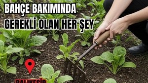 Balıkesir'de Bahçe Bakım Eşyaları Nerede Satılır?