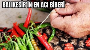 Balıkesir’in En Acı Biberi Köseler Köyü'nden Çıkıyor