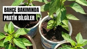 Balıkesir'de Mayıs Ayı Bahçe Bakımı