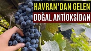 Bu Şifanın Kaynağı Havran'ın Verimli Toprakları!
