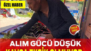 Alım gücü düşük Kavga Eksik Olmuyor !