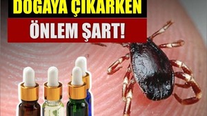 Bu Doğal Yağlar Keneleri Uzak Tutuyor