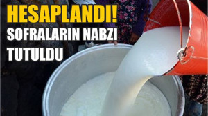 Süt Kazanıyor! 1 Ayda Bakın Kaç Bin Ton Süt Toplandı