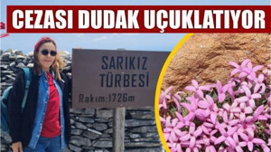 Balıkesir'de Bu Bitkileri Koparmak Yasak!
