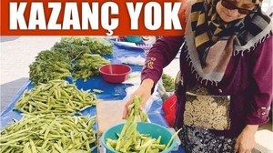20 Yıllık Emek, 30 Liralık Salatalık