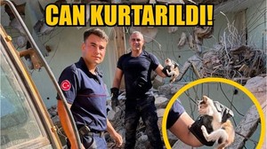 Molozların Arasından Can Kurtarıldı!