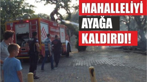 Balıkesir’de Ot Yangını Panik Yarattı!