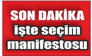 manifesto nedir?