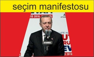 manifesto nedir