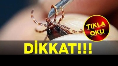 Kene Kusturmayın! Uzmanlardan Hayati Uyarı