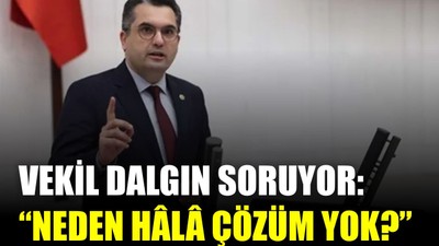 Kokarca Böceği Alarmı! Karacabey’de Üretici Perişan