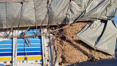 Saman Yüklü Kamyon Trafikte Tehlike Saçtı