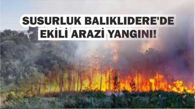 Susurluk Balıklıdere'de Ekili Arazi Yangını!