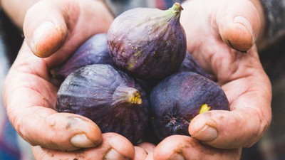 Havran İnciri: Balıkesir'in Sağlık Deposu!
