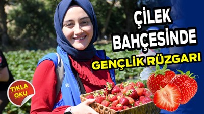 Çilek Bahçesinde Gençlik Rüzgarı